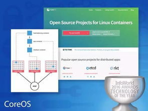 2023年度最佳硬件、軟件、開(kāi)發(fā)工具、云服務(wù)與數(shù)據(jù)處理存儲(chǔ)支持服務(wù)全景概覽